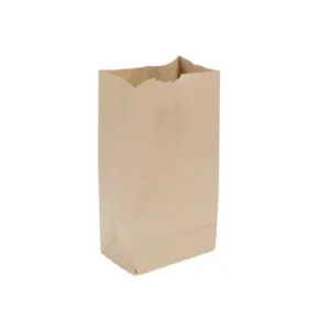 Bolsa papel #12