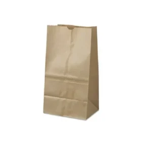 Bolsa papel #25