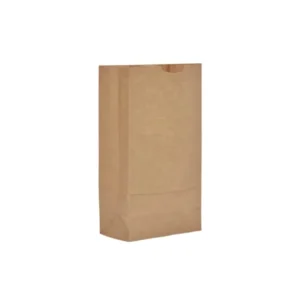 Bolsa papel #4
