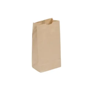 Bolsa papel #6